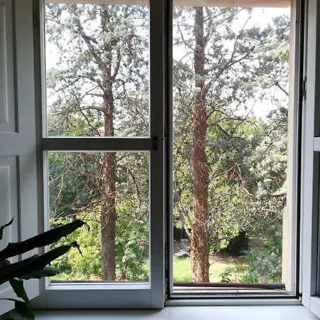 Teatro 3* トリエステ